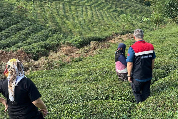 Rize’de tarım alanlarında hasar tespit çalışmaları sürüyor Rize’de tarım alanlarında hasar tespit çalışmaları sürüyor