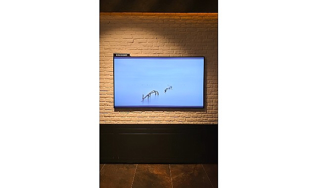 Samsung, Artweeks Istanbul'da  sanatı ekran teknolojileriyle buluşturuyor