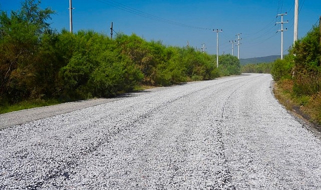 Sathi Kaplama Seferberliği Avşar Mahallesi'nden Başladı