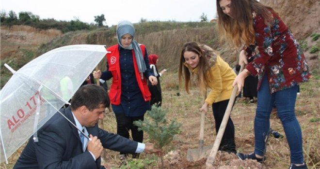 Ünye'de Fidan Dikimi
