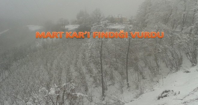 ZARARIN BOYUTU BİLİNMİYOR