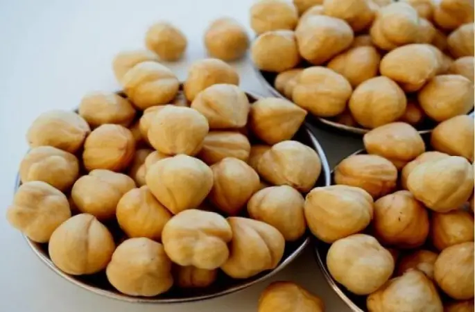 Fındık Yaraları da İyileştiriyor