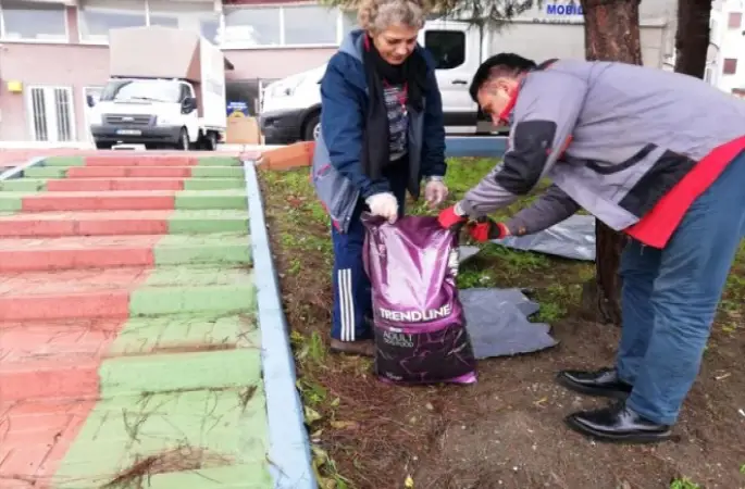 Hayvanseverlerden Belediye Başkanı Kul'a Ziyaret