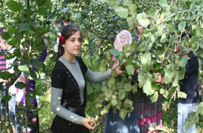 Fındıkta beklenti 8 TL