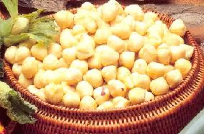 Fındık tüm zamanların rekoruna imza attı