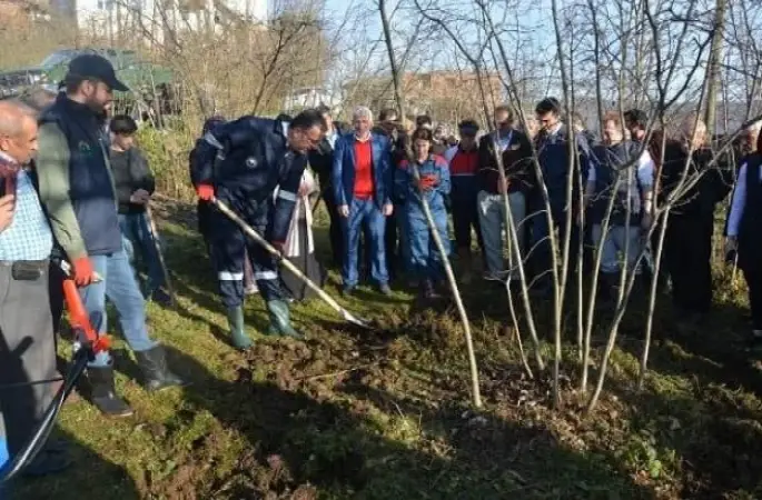Fındık Çalışmalarını Yakından Takip Ediyor