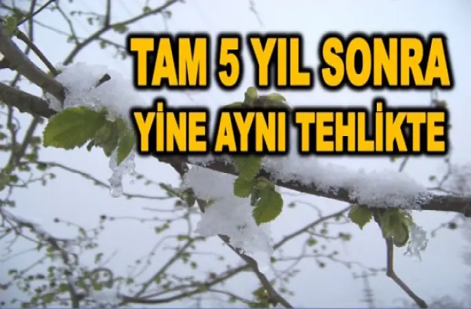 FINDIK YENİ BİR AFET TEHLİKESİYLE KARŞI KARŞIYA