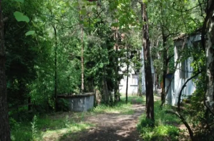 2015 Güncel Fındık fiyatları? Samsun Ordu Giresun Trabzon Rize Tekno Bilme Artvin fındık fiyatı 25 TL oldu mu? 30 Lira mı olacak - SeyredeDur Bilgi