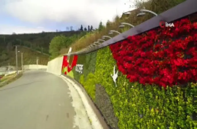 Dikey Bahçe" Çalışmaları Tamamlandı