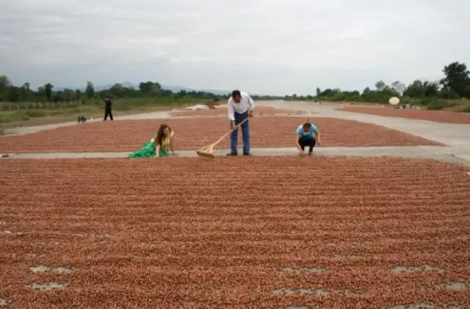 24 Yıldır Atıl Durumdaki Ünye Havaalanı Arazisi Üniversiteye Devredildi