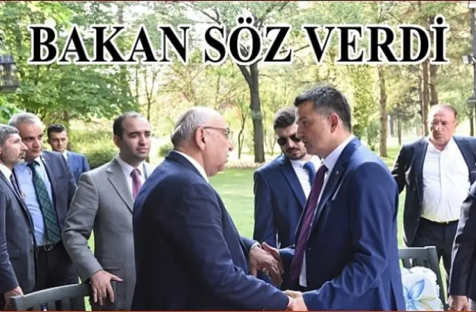 Yediyıldız: Fındık için gerekenleri yapıyoruz