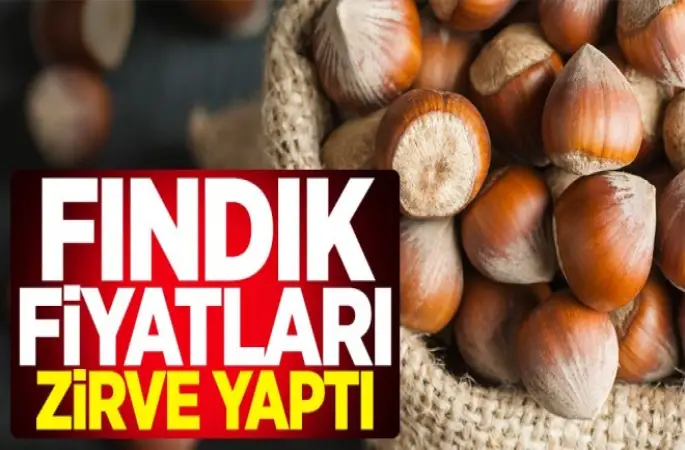 Fındık Fiyatı Zirve Yaptı