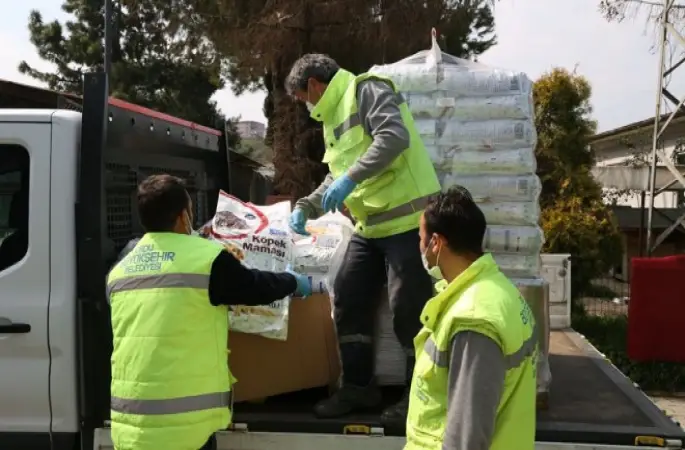 Sokak Hayvanları Unutulmuyor