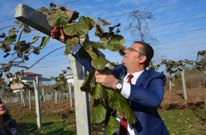 Kış Budamasına Dikkat !