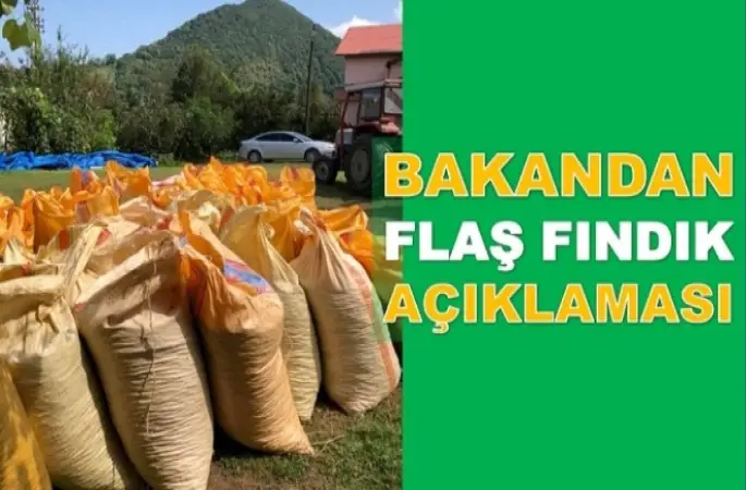 'TMO FINDIK ALMAYACAK'