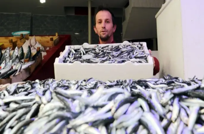 Ordu'da Hamsinin Kilogramı 3 Liraya Düştü