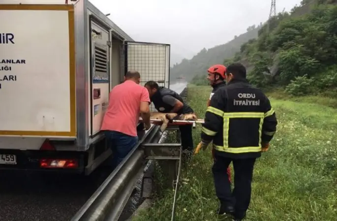 İtfaiyeden Film Gibi Kurtarma Operasyonu