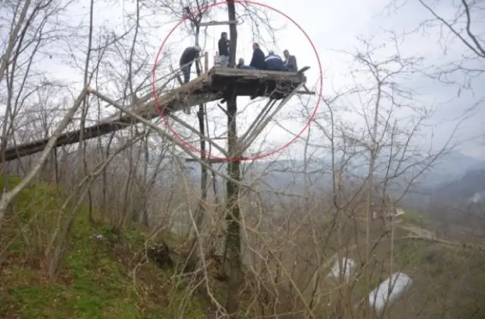 Üzüm Asmasına Kızdı, Ağacın Tepesine Kamelya Yaptı