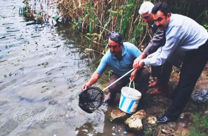 Gaga ve Ulugölde Balıklandırma Yapılyor