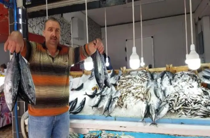 Ordu'da Palamut Bolluğu Fiyatları Düşürdü