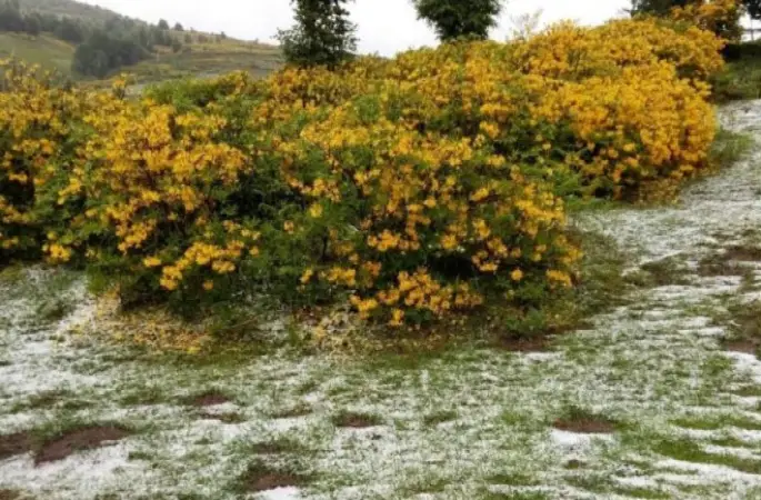 Yaylalara dolu yağdı.