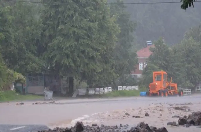Ordu mesajı: Bu yıl fındık yok, sel aldı
