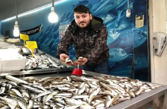 Tezgahlarda Soğuk Hava Bereketi