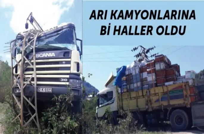 ARI KAMYONLARINA Bİ HALLER OLDU