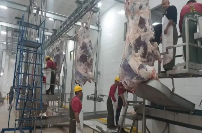 Aydı Anda Bir Çok Kesim Yapılabilecek