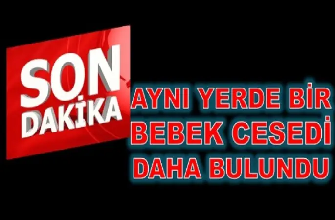 ORDU'DA BİR VAHŞET DAHA