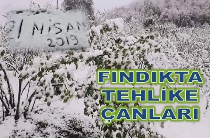 ORDU NİSAN AYINDA BEYAZA BÜRÜNDÜ