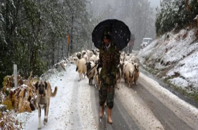 Başkan, Mevsimin İlk Kar Yağışını Sosyal Medyadan Canlı Yayınladı