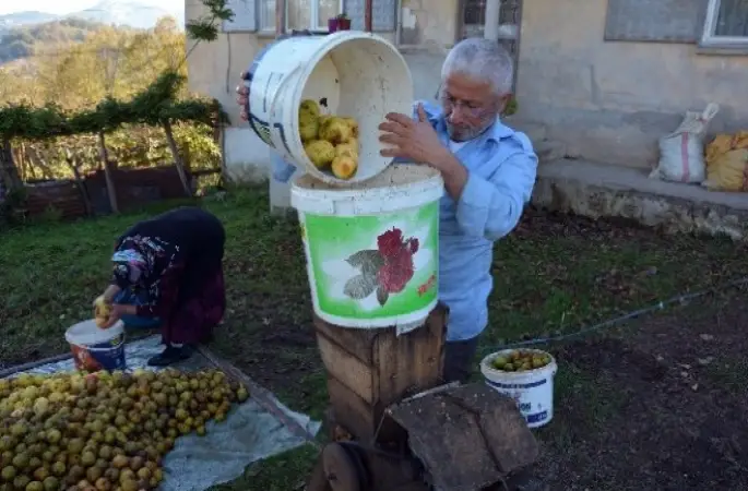 Emekli öğretmen köyündeki meyveleri ekonomiye kazandırdı
