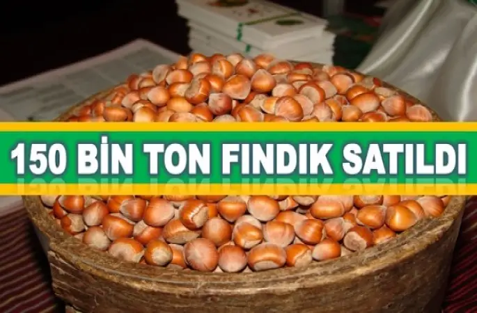 150 BİN FINDIĞIN  50 BİNİ ORDU'DA SATILDI