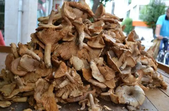 Tırmıt Pazara İndi