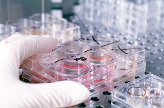 Laboratuvarda organ üretildi