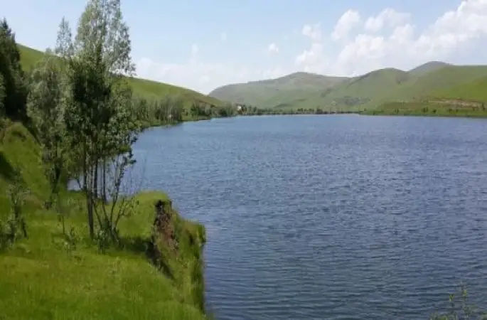 ÖLÜ BALIKLARIN YENMESİ TEHLİKE SAÇIYOR