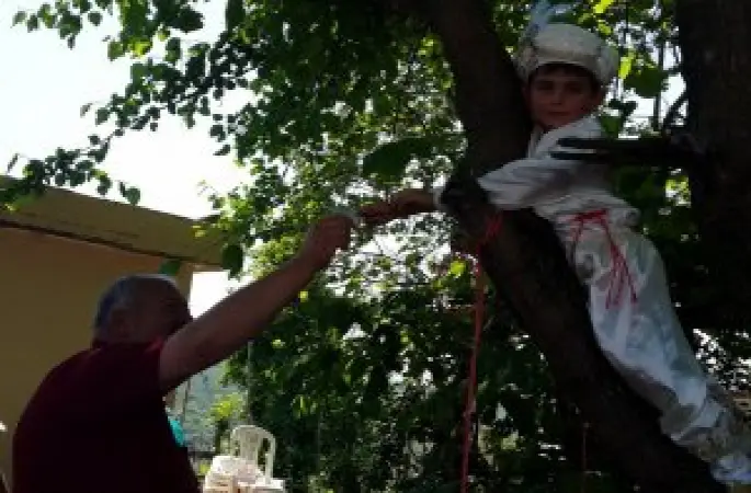 Sünnetten Korkup Dut Ağacına Çıktı