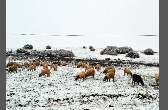Orduya yılın ilk karı düştü