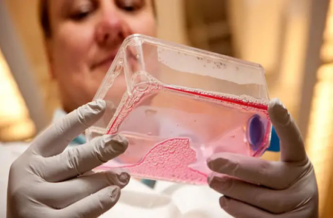 Kanseri yiyen BAKTERİ bulundu