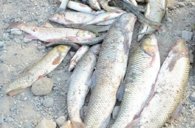 DSİ ıslah çalışmaları vatandaşın yüzünü güldürdü