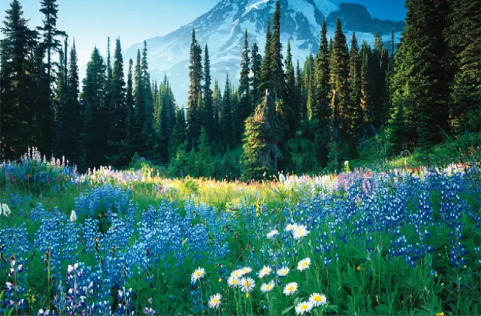 Dünden Bu güne Ordu