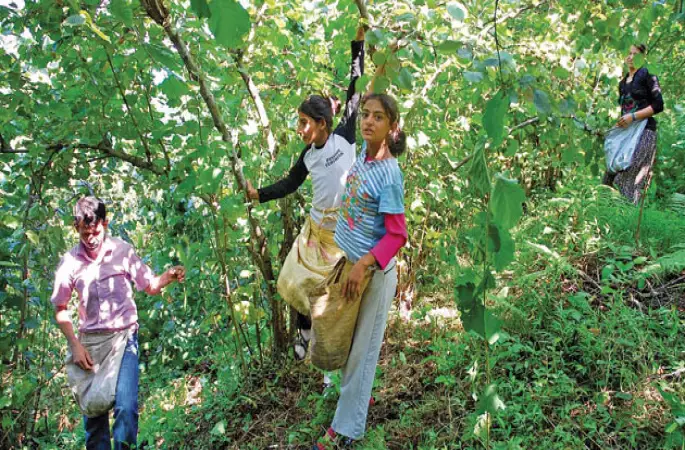 Bahçede çocuk çalıştırana ceza yağacak