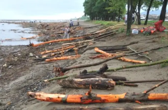 Yağışla denize gelen ağaç parçaları ve atıkların temizliği sürüyor