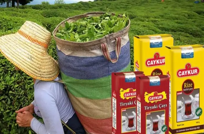 A101 Market Zincirinden Çay İndirimi! Çaykur Tiryaki Çay Fiyatı Düşürüldü