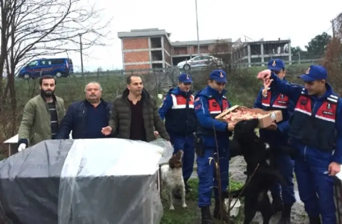 Ordu'da Sokak Hayvanlarına "Sıcak" Şefkat