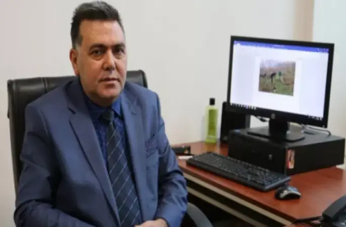 Çinkolu Gübre Fındık Verimini Yüzde 25 Arttırıyor