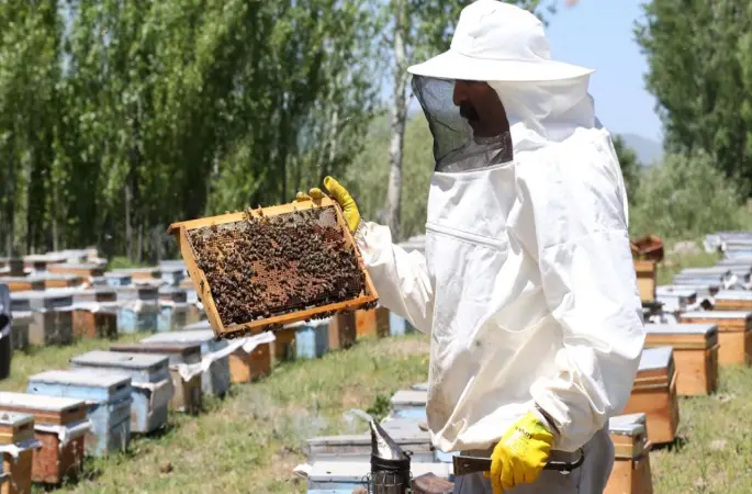 Arıcılar Katma Değerli Üretim İstiyor Ordu'da Eğitime Girdiler