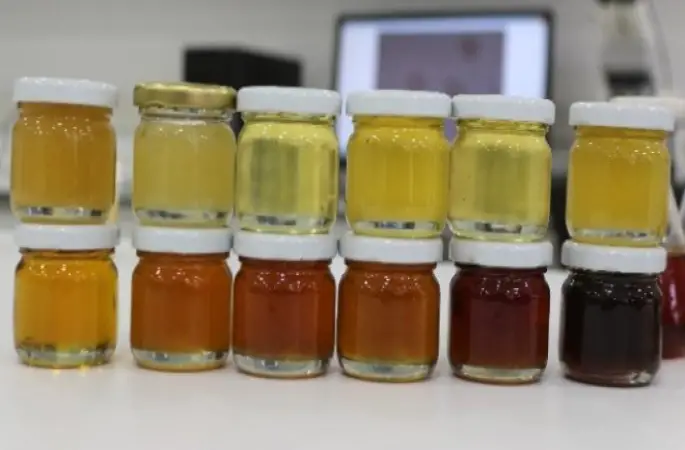 Arıların Tedavisinde Antibiyotikler İnsan Sağlığını Tehdit Ediyor