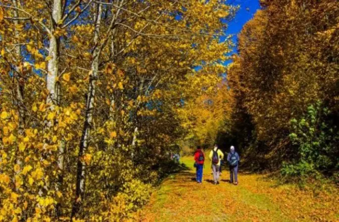 Aybastı'da 6. Doğa Yürüyüşü Yapıldı